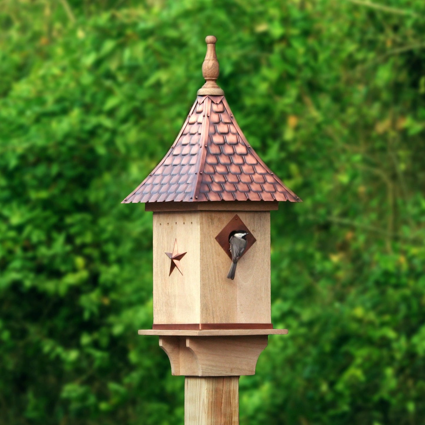 Villa Bird House with Pure Copper Roof